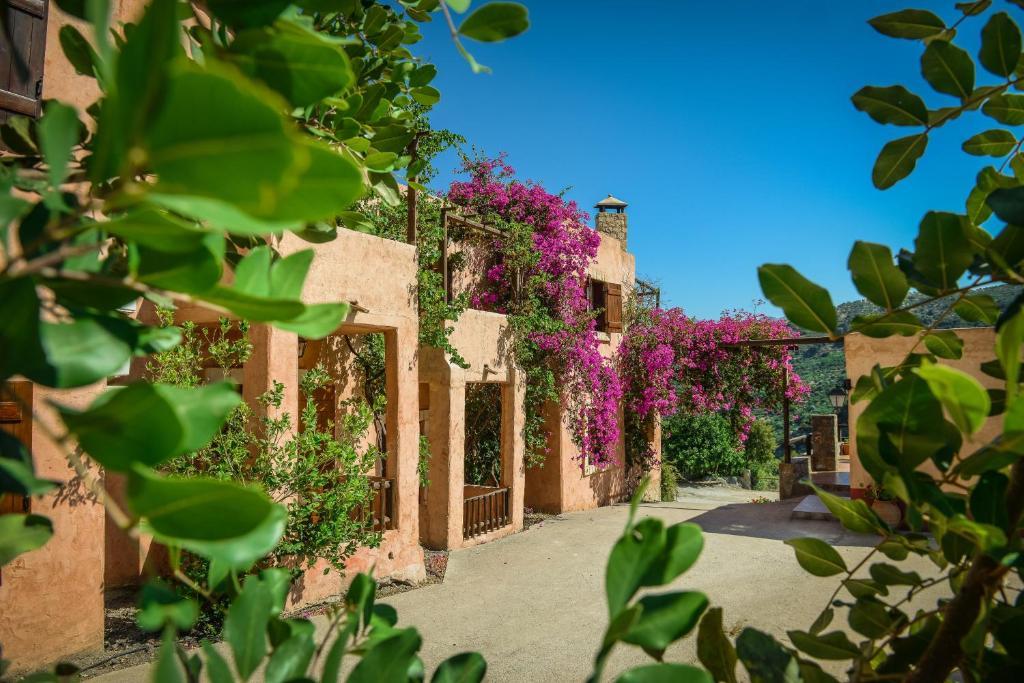 Enagron Ecotourism Village Axos Exterior photo